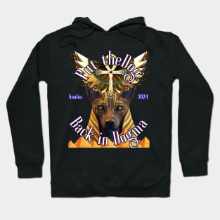 Anubis: Put the Dog Back in Dogma Hoodie